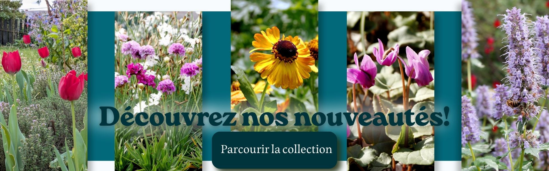 Nouveautés 2026-2027